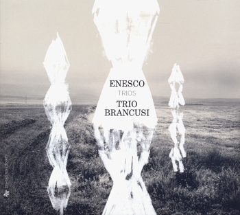 Enesco: Piano Trios, Trio Brancusi